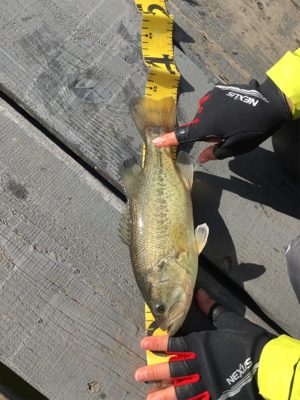 極寒のバスフィッシング