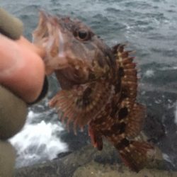 荒天のメバリング