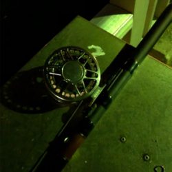 碧南海釣り公園にてヘチ釣り