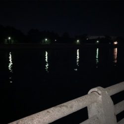 シーバスハプニング