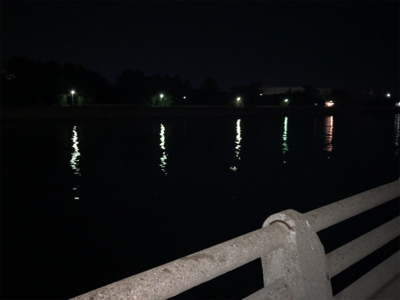 シーバスハプニング