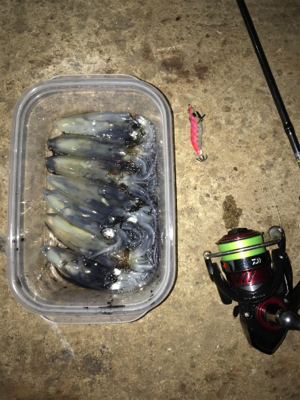 リベンジ ヒイカ釣り(^^)