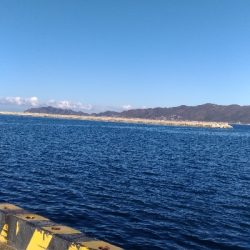 1/14釣果　サバサバサバ　