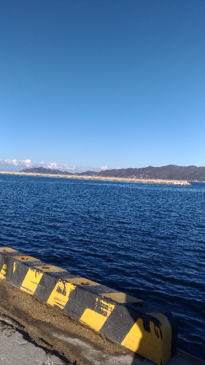 1/14釣果　サバサバサバ　