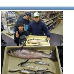 ウルトラライトショアジギング