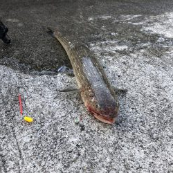 投げ釣り聖地釣行