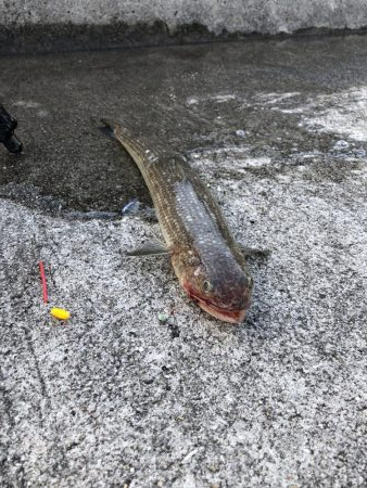 投げ釣り聖地釣行