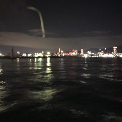 ロックフィッシュゲーム