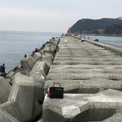 1チャンスGET!!メジロ