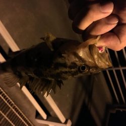 常夜灯の近くで