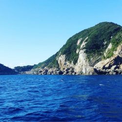 ネイリ好調でした！