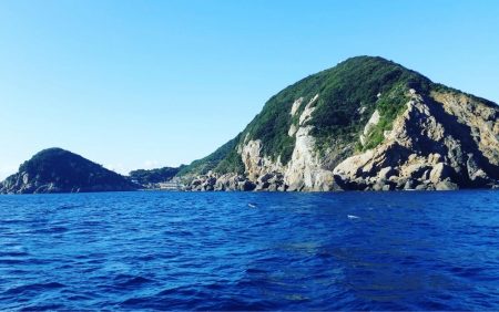 ネイリ好調でした！