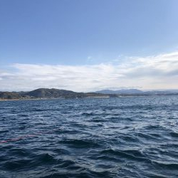 印南伝馬船庄門丸さんにて