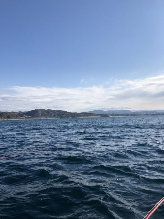 印南伝馬船庄門丸さんにて