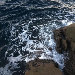 牟岐大島「巨人」でグレ