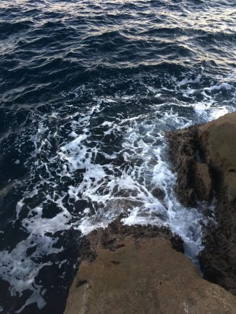 牟岐大島「巨人」でグレ