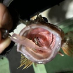 船上ライトワインドゲーム