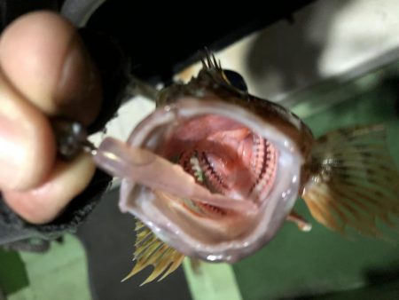 船上ライトワインドゲーム