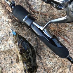 風裏にてタケノコ