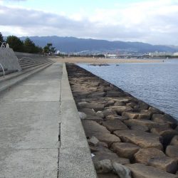 ステッピングで今季初キビレ