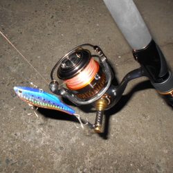 淀川戻鱸を求めて…。