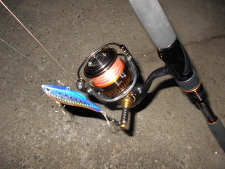 淀川戻鱸を求めて…。