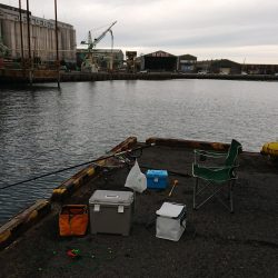 今年の竿初めエビ撒き