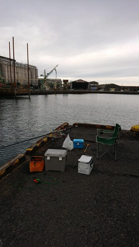 今年の竿初めエビ撒き