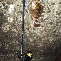 初釣りタッチ～