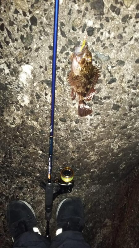 初釣りタッチ～