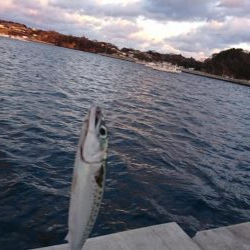 極寒の中で意外な魚が…