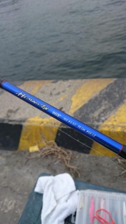 ヒイカエギング