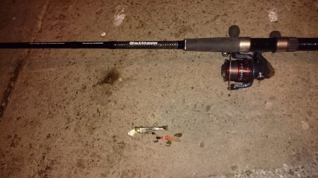 三連休最終日タチウオ