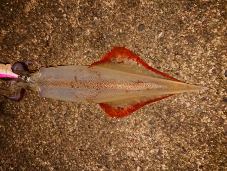 大ウネリの中で