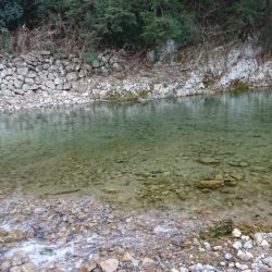 マイナス5度極寒の小柿渓谷トラウト出撃!