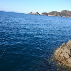 新年あけましておめでホウボウございます