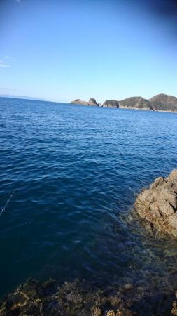 新年あけましておめでホウボウございます