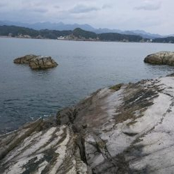 メジロマックイーンきたよ！