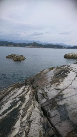 メジロマックイーンきたよ！