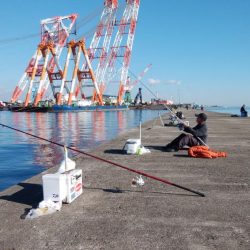 ４日も午後から播磨新島へキス釣査