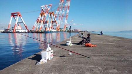 ４日も午後から播磨新島へキス釣査