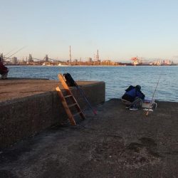 播磨新島のキス釣り