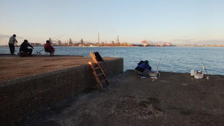 播磨新島のキス釣り