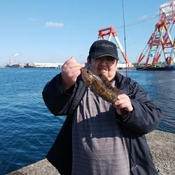 今日も播磨新島でキス釣り