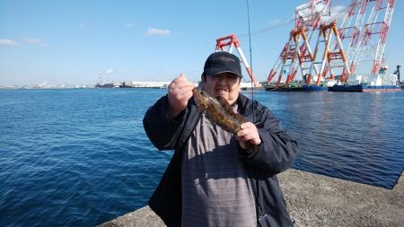 今日も播磨新島でキス釣り