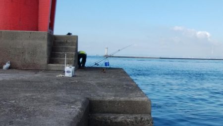 播磨新島でキス釣り