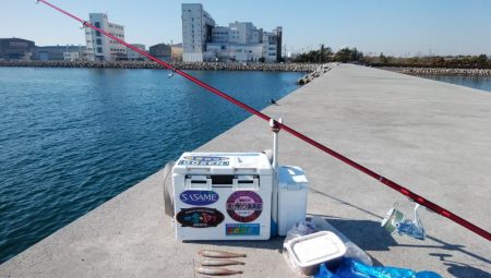 東二見白灯台波止でキス釣り