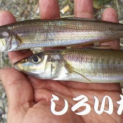 淡路島2日目。福良から洲本へ