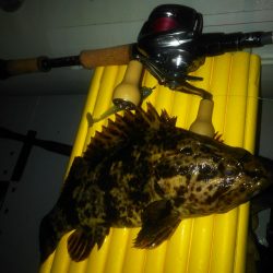 2019初ゴムボートロック