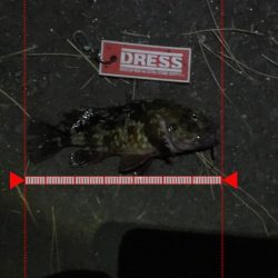 寒さを感じさせない楽しい釣行